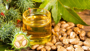 Rizinusöl / Öl des Wunderbaums